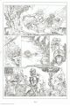Plate 5